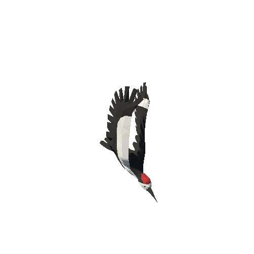 Low Poly Woodpecker